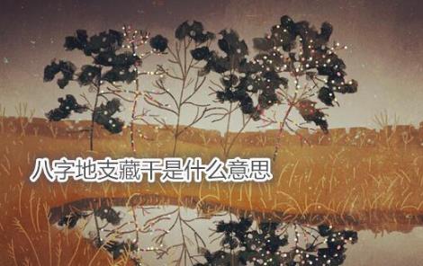 生辰地支藏干是什么意思