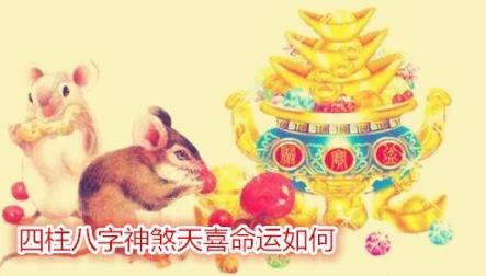 生辰神煞天喜命运如何