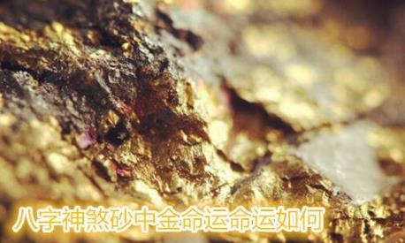 生辰神煞砂中金命运命运如何