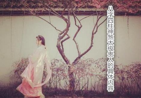 生辰四柱神煞太极贵人的具体内容