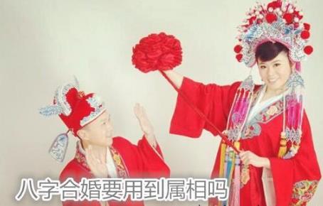 生辰合婚要用到属相吗