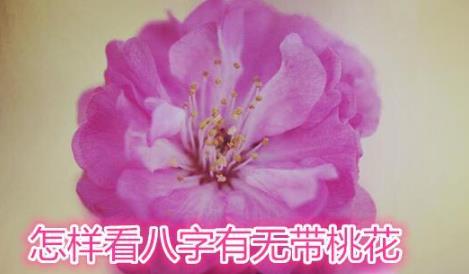 怎样看生辰有无带桃花