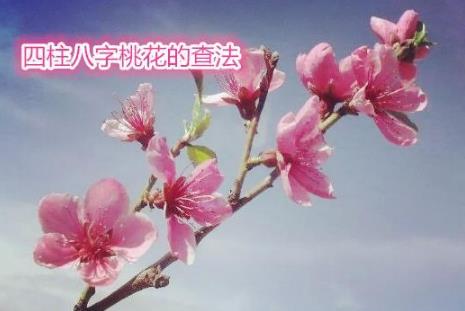 生辰桃花的查法