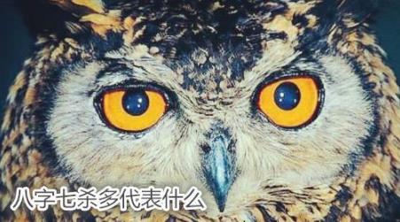 生辰七杀多代表什么