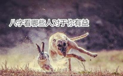 生辰看哪些人对于你有益