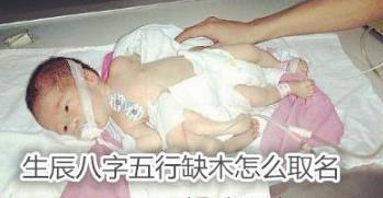 生辰生辰五行缺木怎么取名