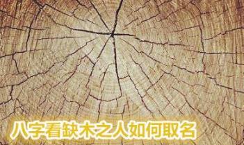 生辰看缺木之人如何取名