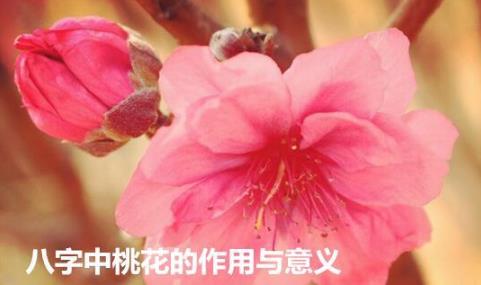 生辰中桃花的作用与意义