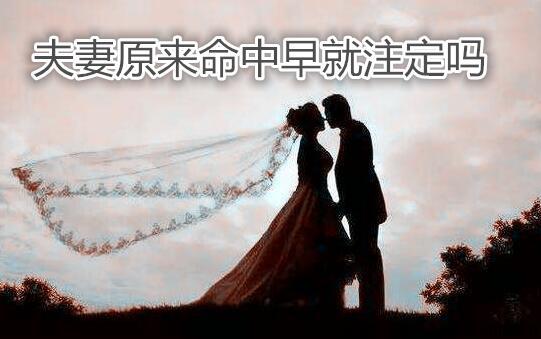 夫妻原来命中早就注定吗