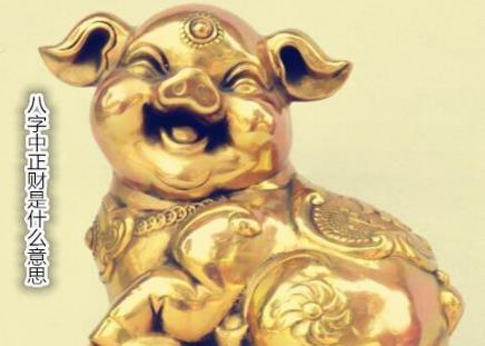 生辰中正财是什么意思