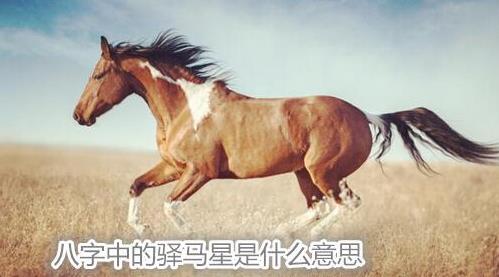 生辰中的驿马星是什么意思