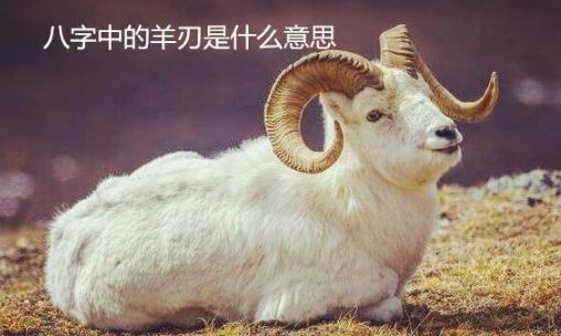 生辰中的羊刃是什么意思