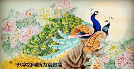 生辰如何断为富贵命