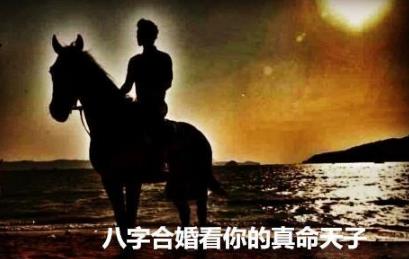 生辰合婚看你的真命天子