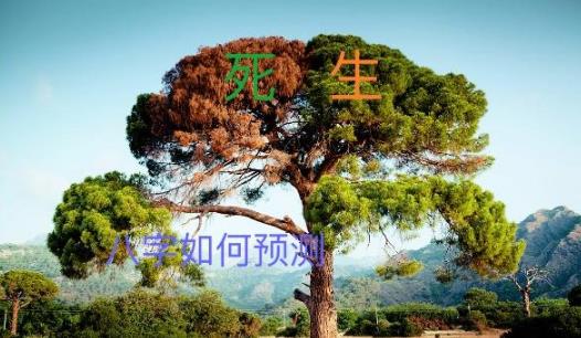 生辰如何预测生死