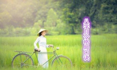 生辰月令格局口诀