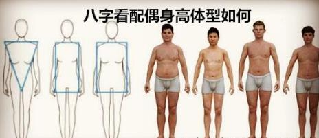 生辰看配偶身高体型如何