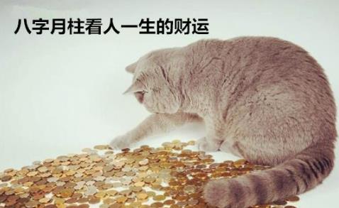 生辰月柱看人一生的财运