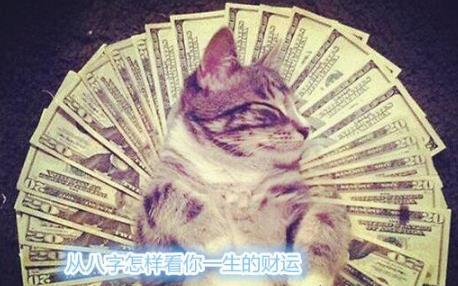 生辰看你一生财运好坏