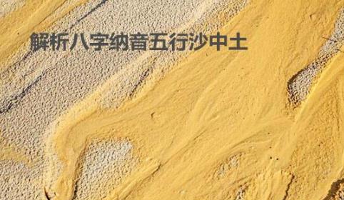 解析生辰纳音五行沙中土