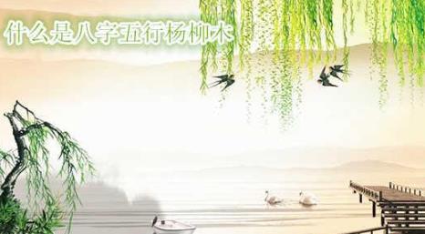 解析生辰纳音五行杨柳木