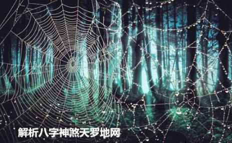 解析生辰神煞天罗地网