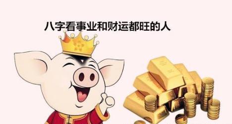 生辰看事业和财运都旺