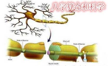 生辰测算和科学有哪些关联性