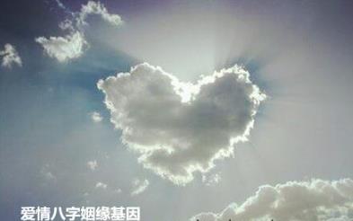 爱情生辰姻缘基因