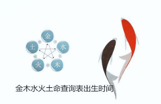 金木水火土命查询表出生时间