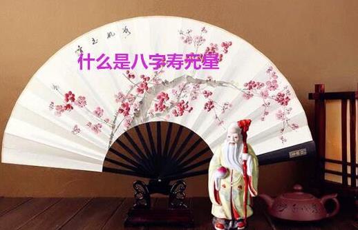 什么是生辰寿元星