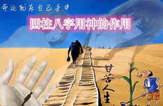 生辰中用神的作用
