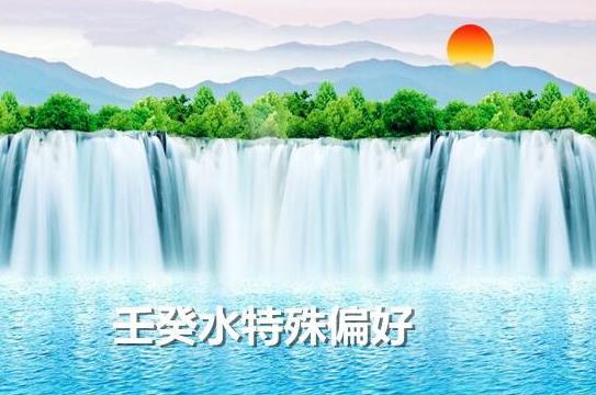 什么是生辰从儿格