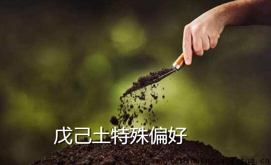 天干戊己土的特殊偏好