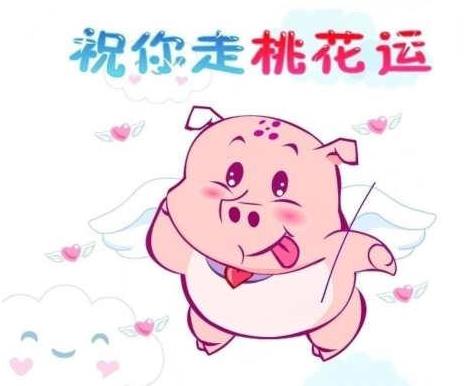 生辰测算桃花运好不好