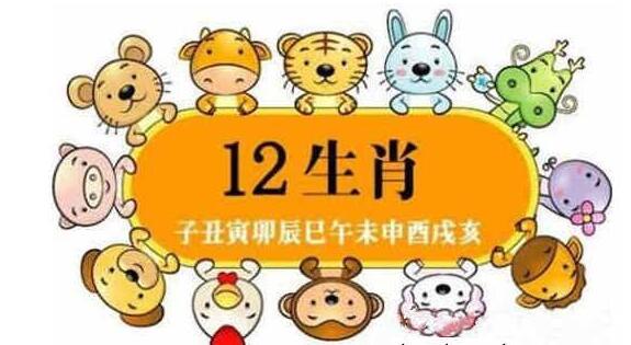 十二生肖与生辰命理学