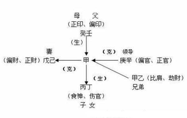 生辰入门基础十神作用关系（10）