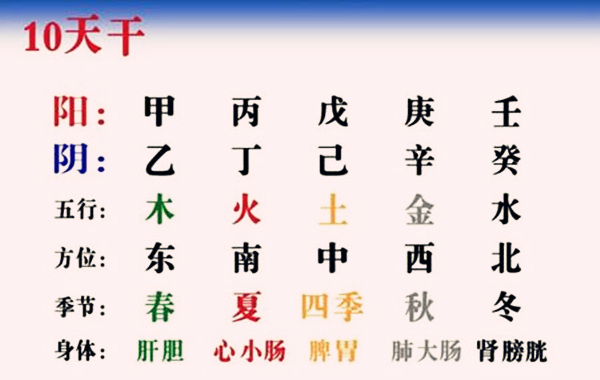 生辰入门基础天干象意大全（4）
