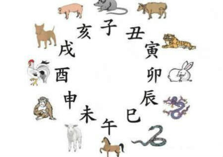 买房风水楼层与属相 买房风水楼层与属相