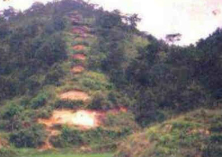 绝户的*宅风水和*宅大全 绝户的*宅风水和*宅大全