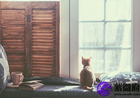 生辰天干,生辰测算,天干壬水