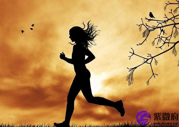 如何从生辰看健康