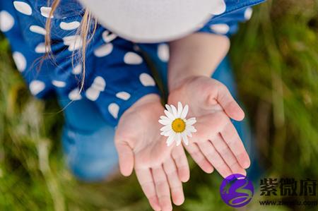 生辰合婚,爱情,合生辰