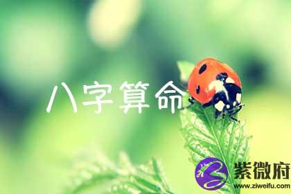 生辰生辰测算