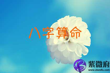 测算生辰论命