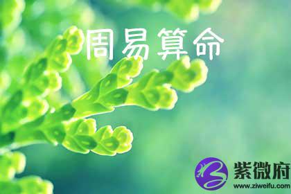 周易测算