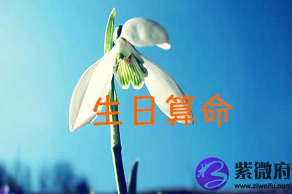 生日测算
