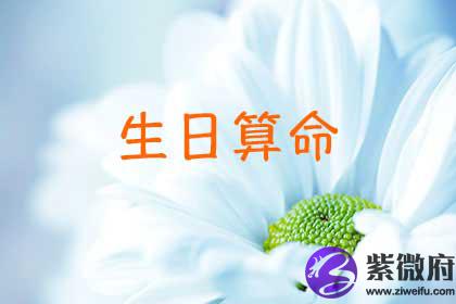 阳历出生测算