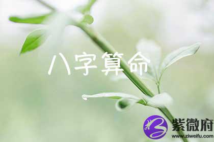 生辰测算