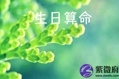 阳历出生测算